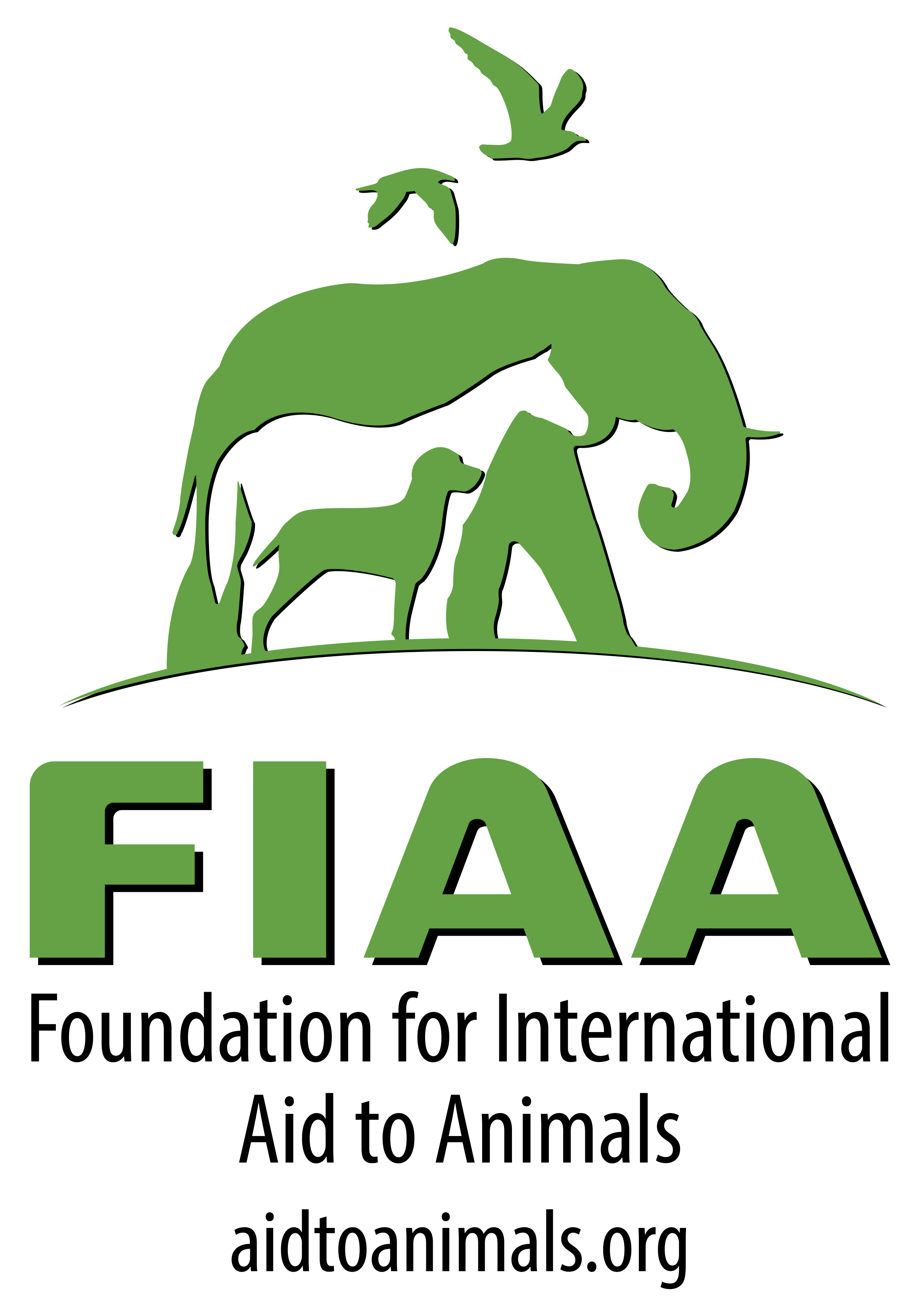 FIAA (Logotipo Vertical) – Colegio Santa María de Lo Cañas